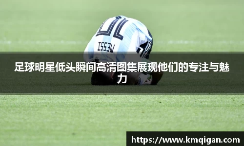 365WM完美体育官方app