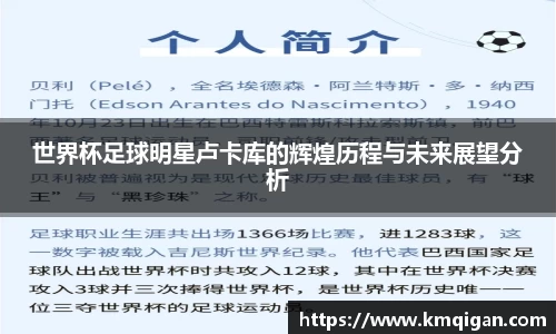 365WM完美体育官方app