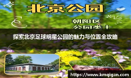 365WM完美体育官方app